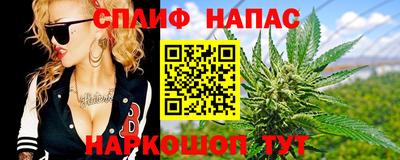 стаф Нальчик