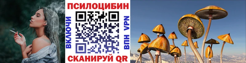 купить закладку  Урус-Мартан  Галлюциногенные грибы Magic Shrooms 