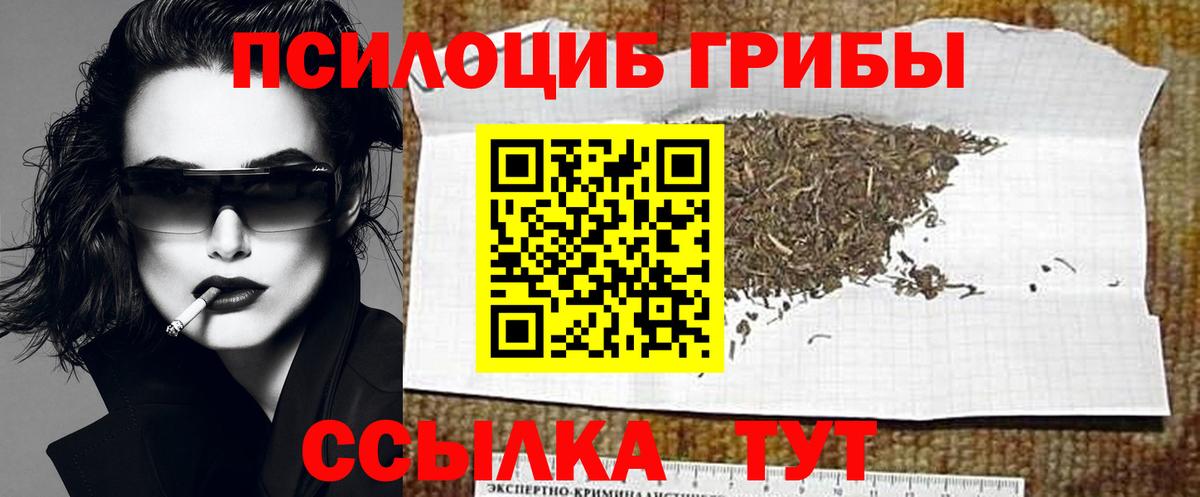 Псилоцибиновые грибы Magic Shrooms  Вход с VPN  Урус-Мартан  Галлюциногенные грибы GOLDEN TEACHER 